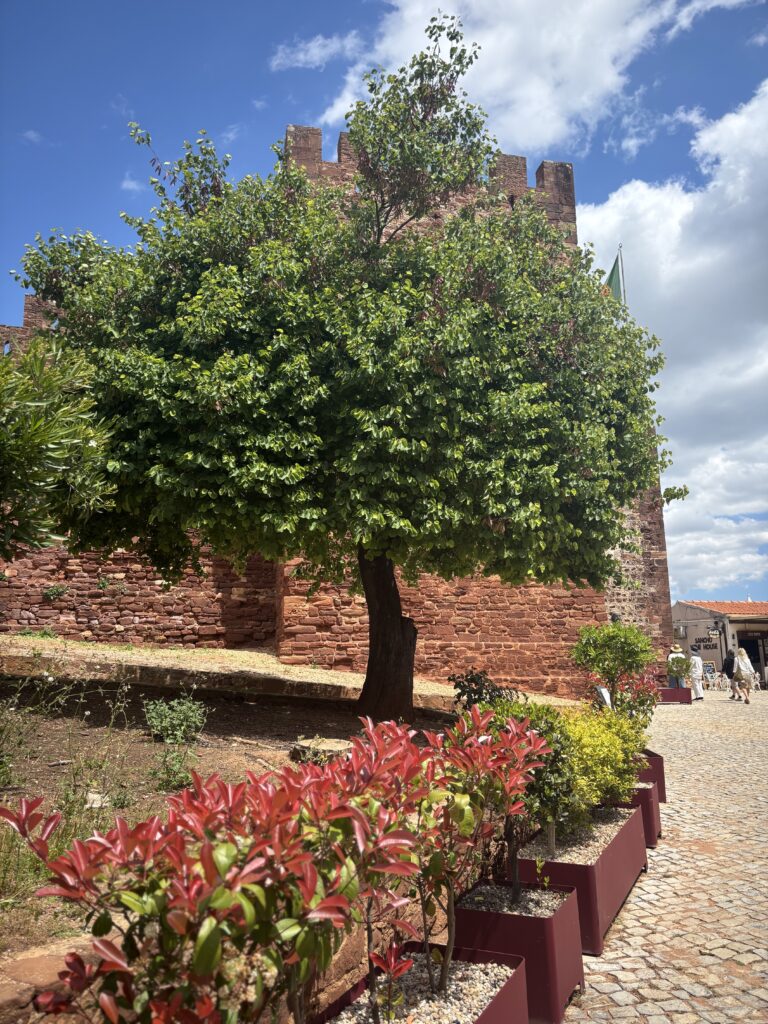 Silves