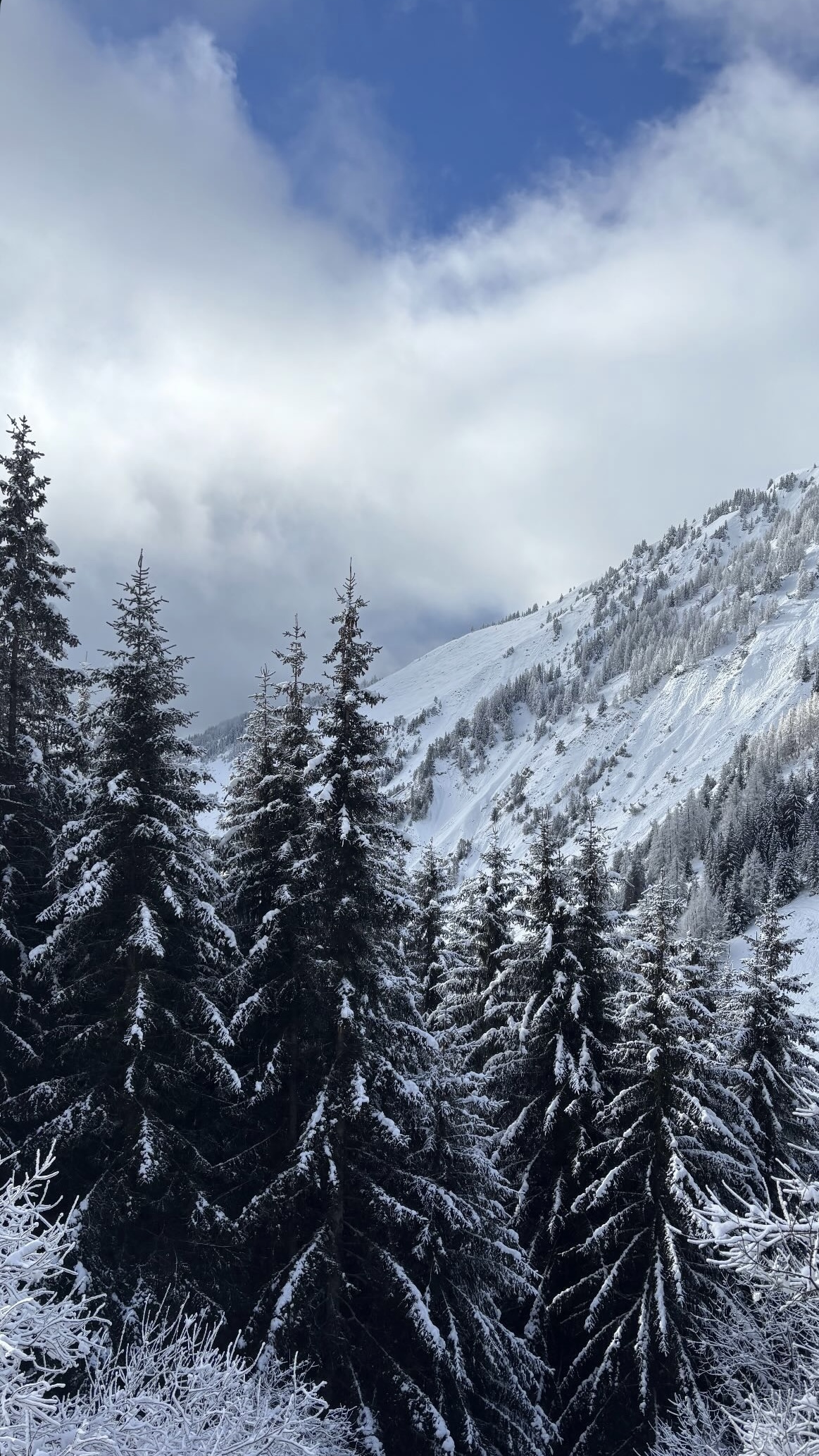 Climat frais : air pur, brume, ambiance nordique