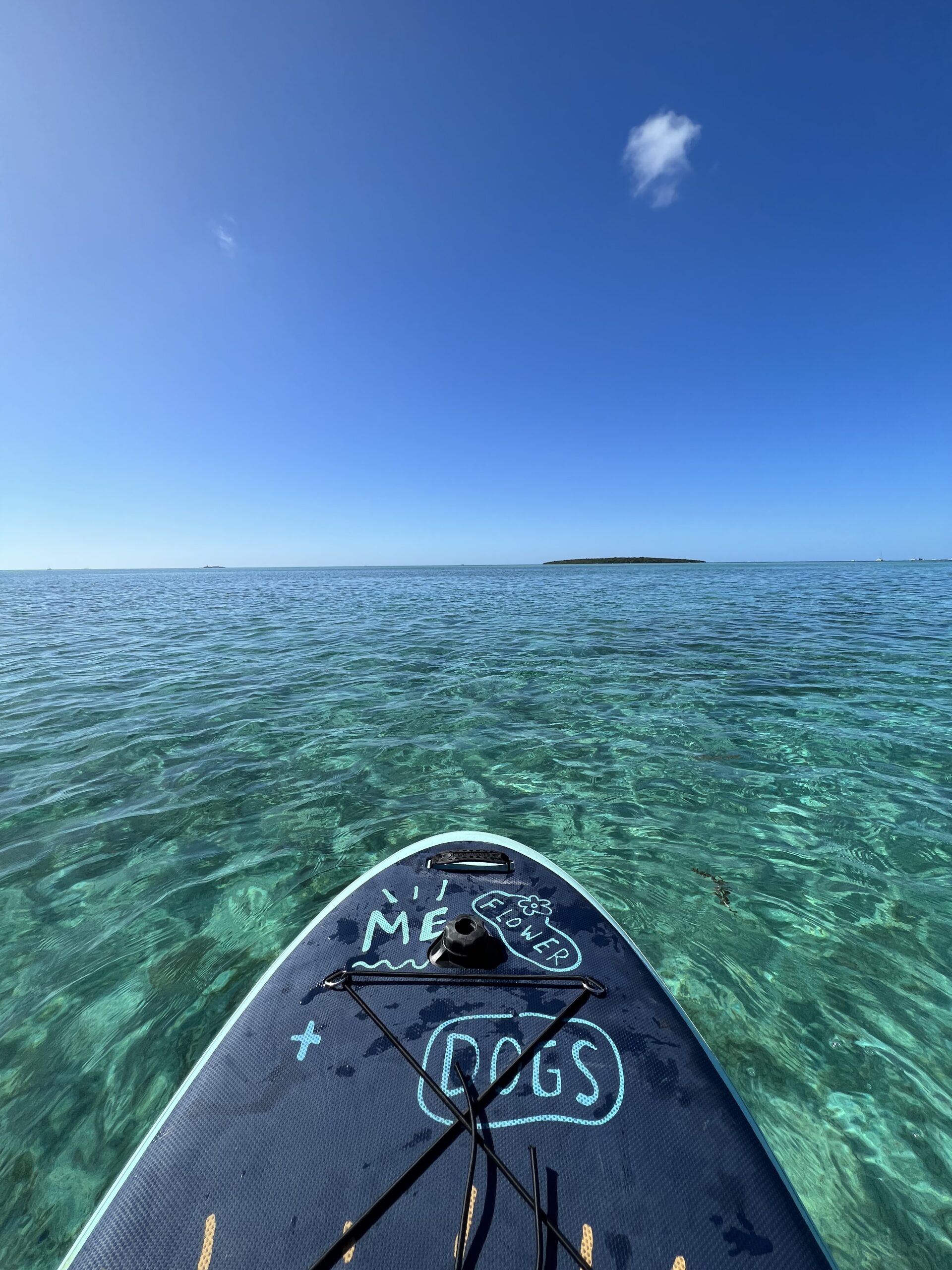 Décor nature côté mer : criques, falaises et lumière dorée