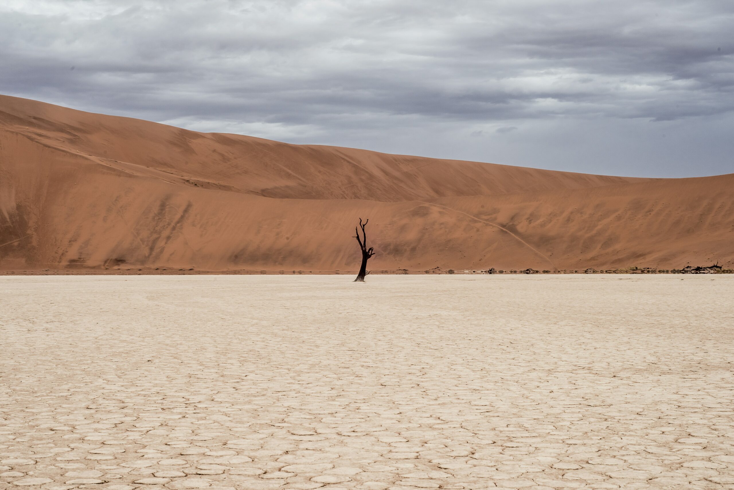 Choisir un désert selon les paysages : dunes, canyons, oasis et panoramas