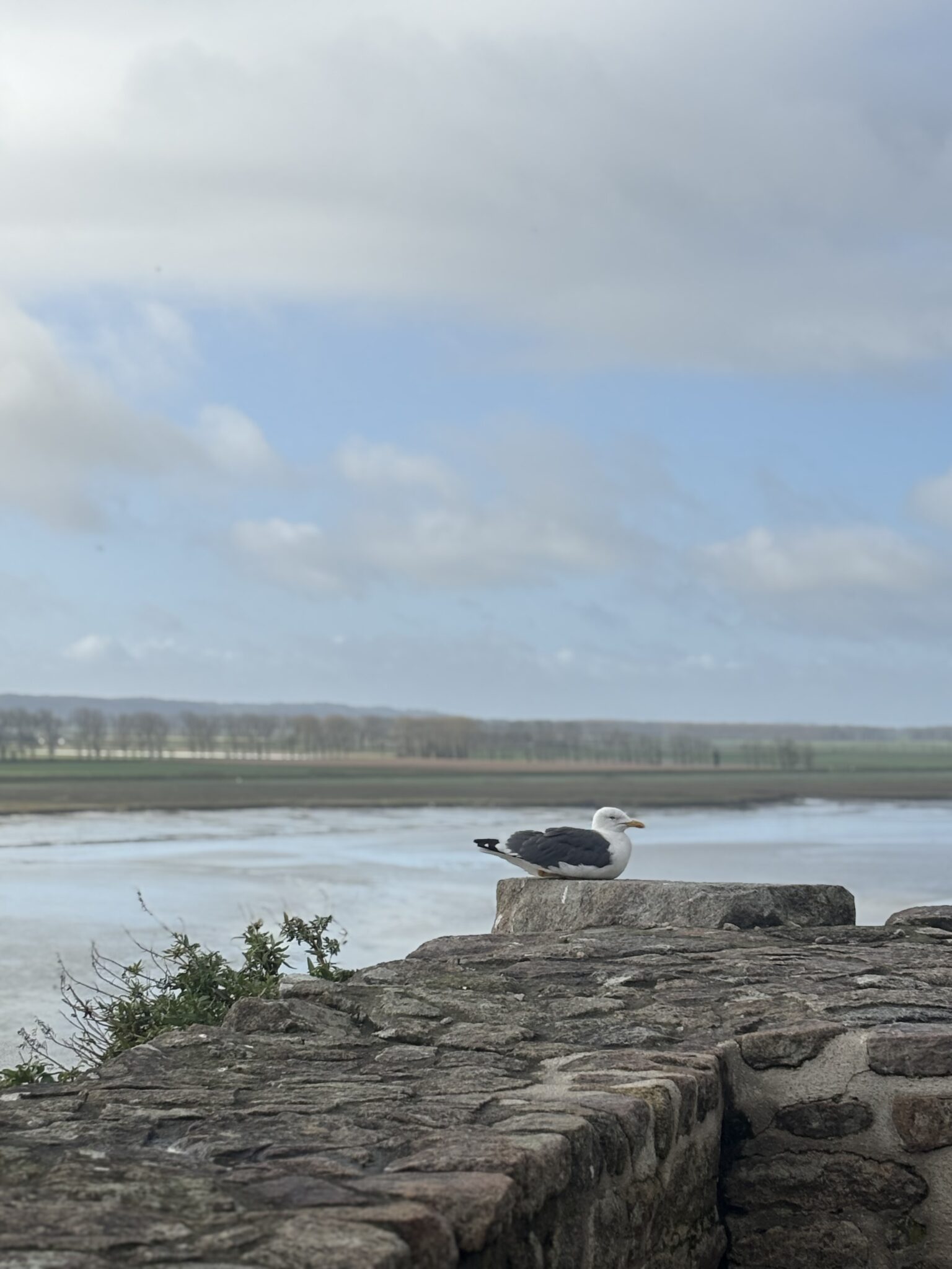 Faire le tour des remparts