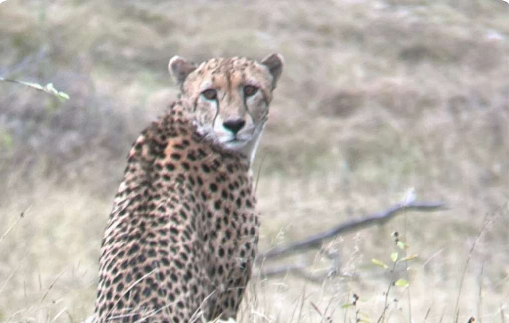 Matériel de voyage : ce que je prends vraiment quand je pars